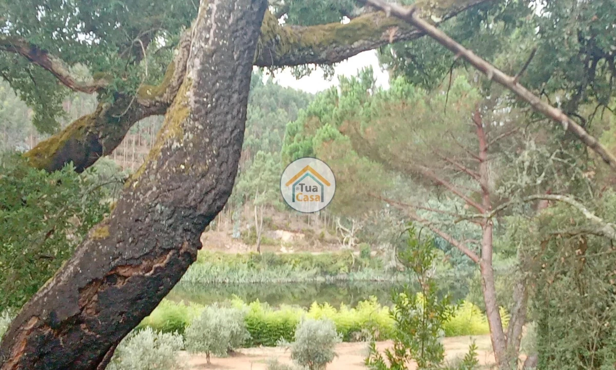 Terreno para Venda em Oliveira do Mondego e Travanca do Mondego Foto 10