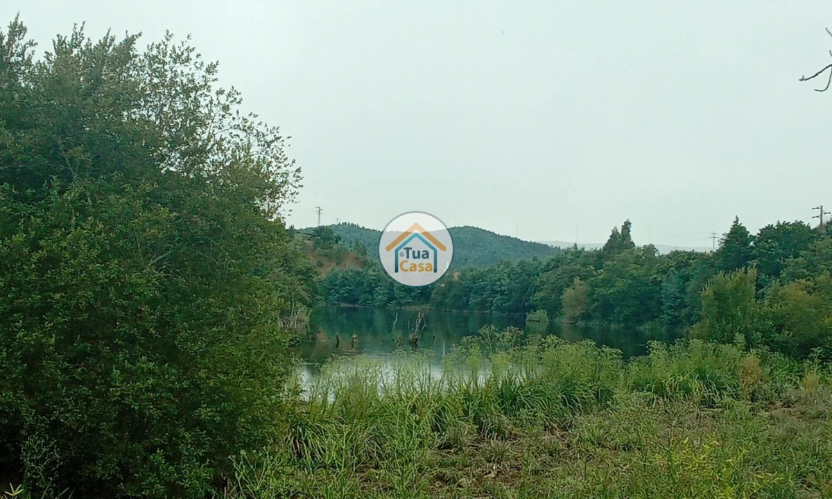 Terreno para Venda em Oliveira do Mondego e Travanca do Mondego Foto 6