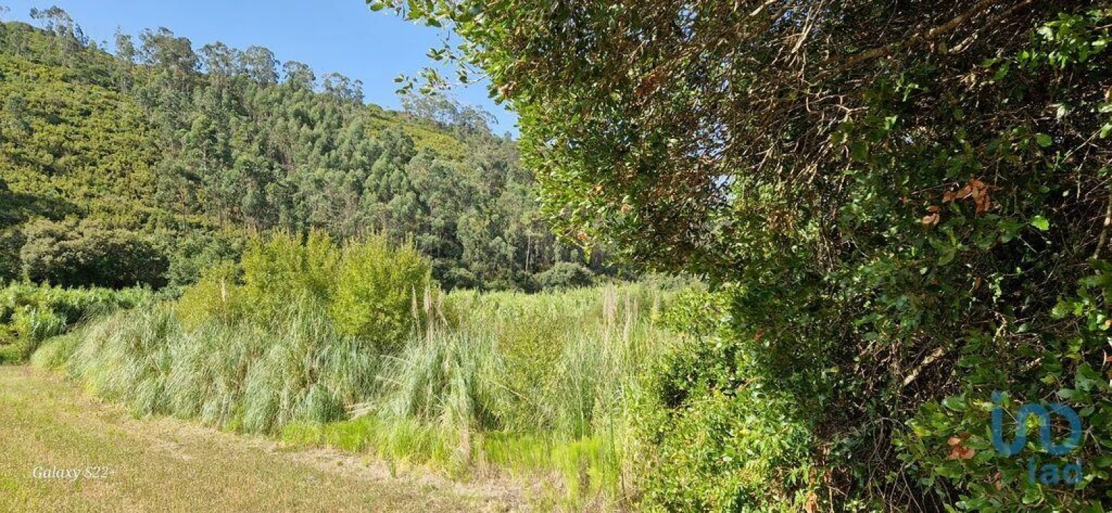 Terreno para Venda em Carvoeira Foto 14