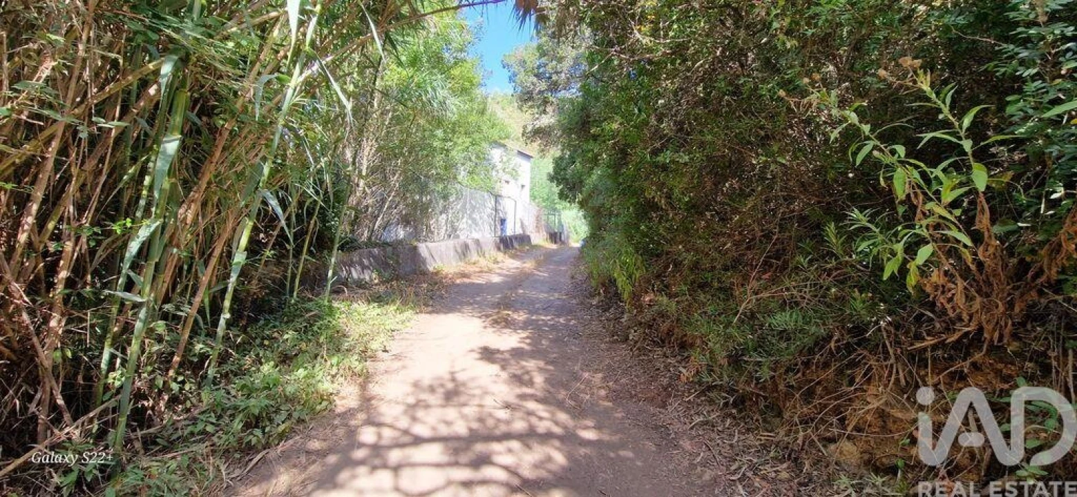 Terreno para Venda em Carvoeira Foto 18