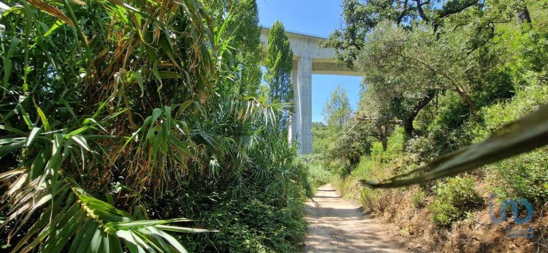 Terreno para Venda em Carvoeira Foto 3