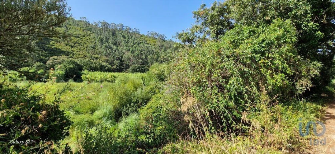 Terreno para Venda em Carvoeira Foto 10