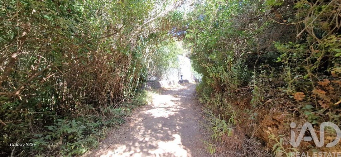 Terreno para Venda em Carvoeira Foto 17