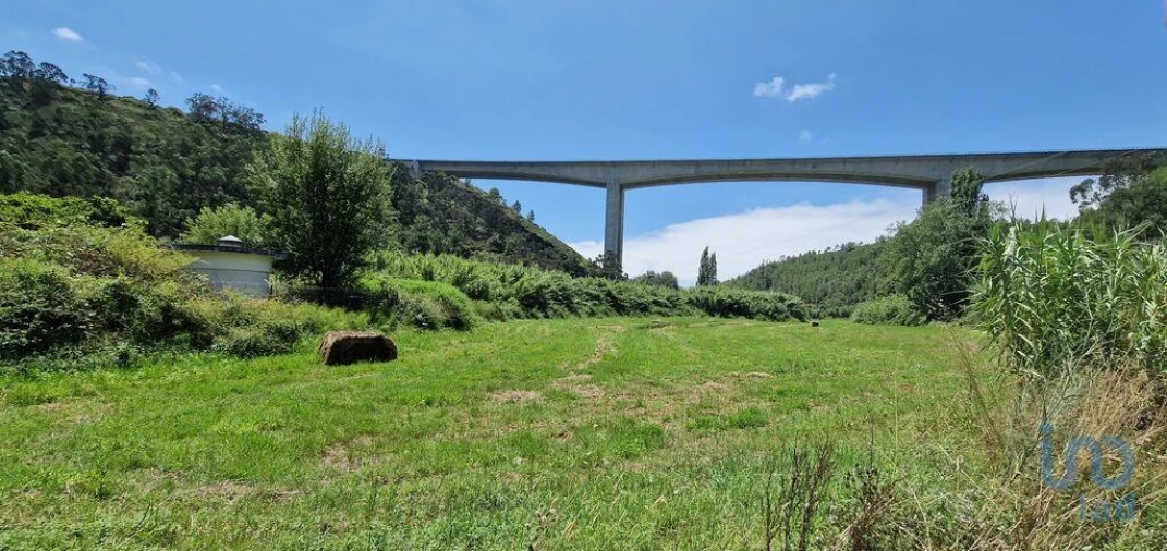 Terreno para Venda em Carvoeira Foto 1