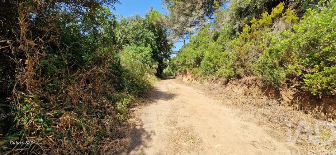 Terreno para Venda em Carvoeira Foto 15
