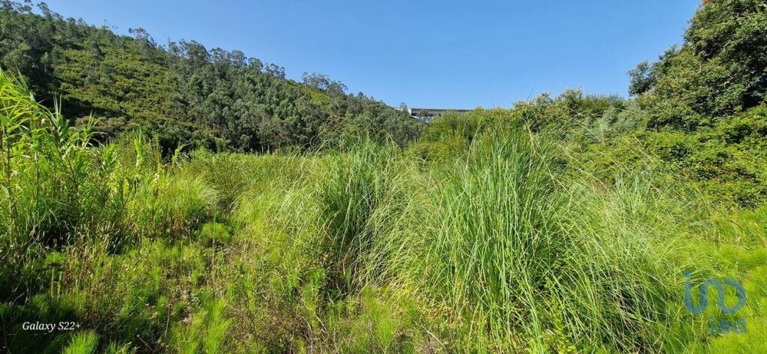 Terreno para Venda em Carvoeira Foto 13