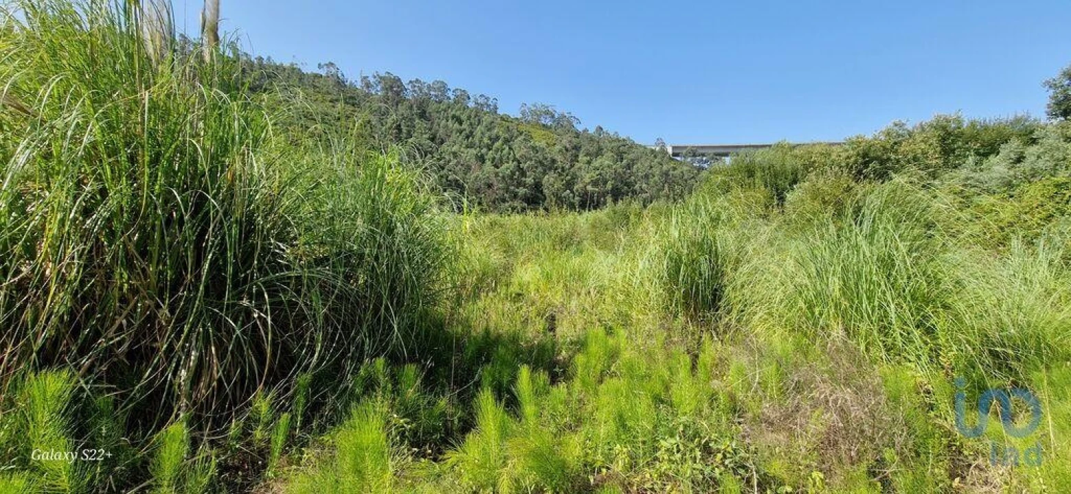 Terreno para Venda em Carvoeira Foto 12