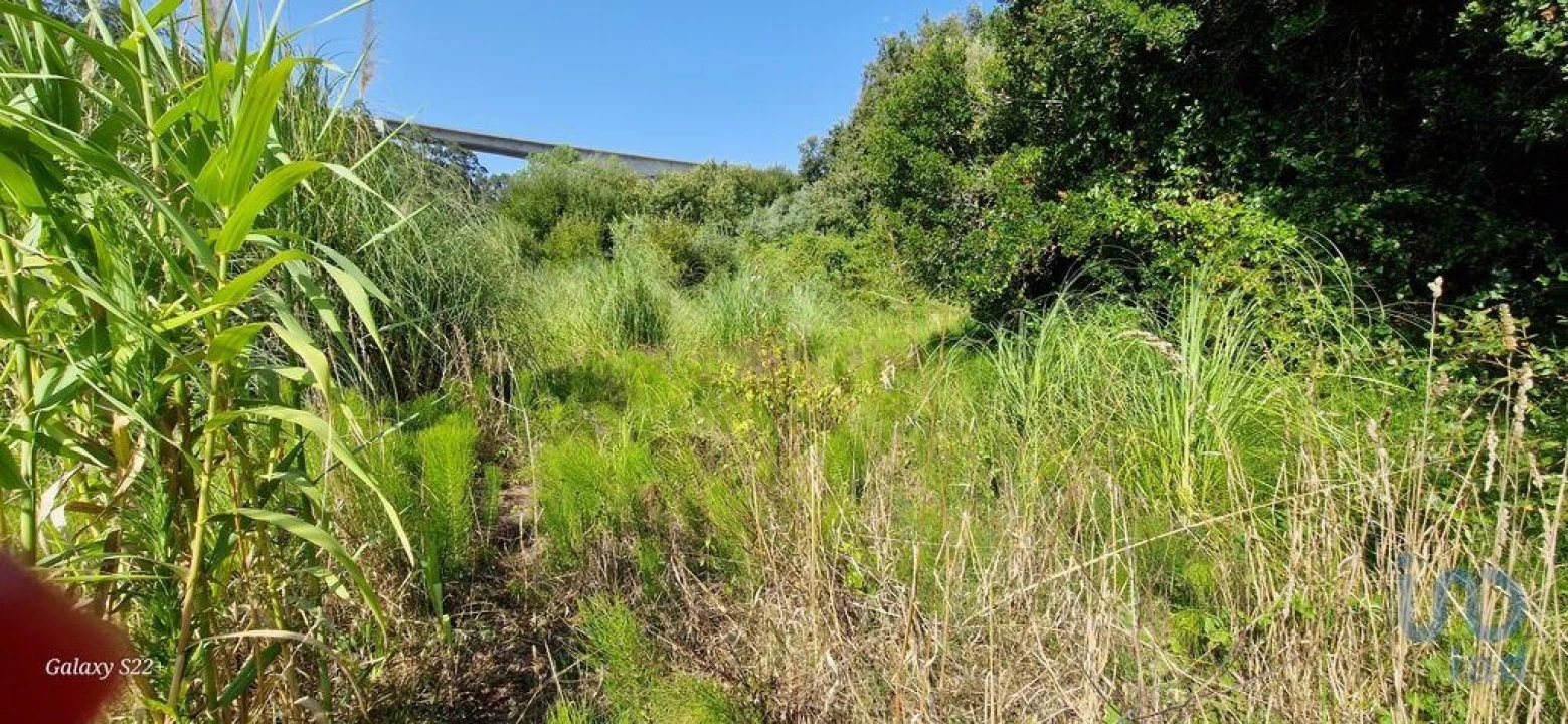 Terreno para Venda em Carvoeira Foto 11