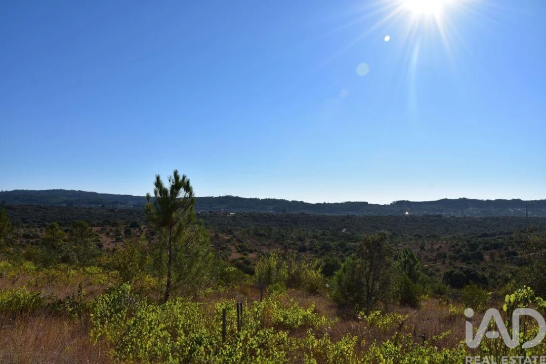 Terreno para Venda em Nossa Senhora do Pranto Foto 5