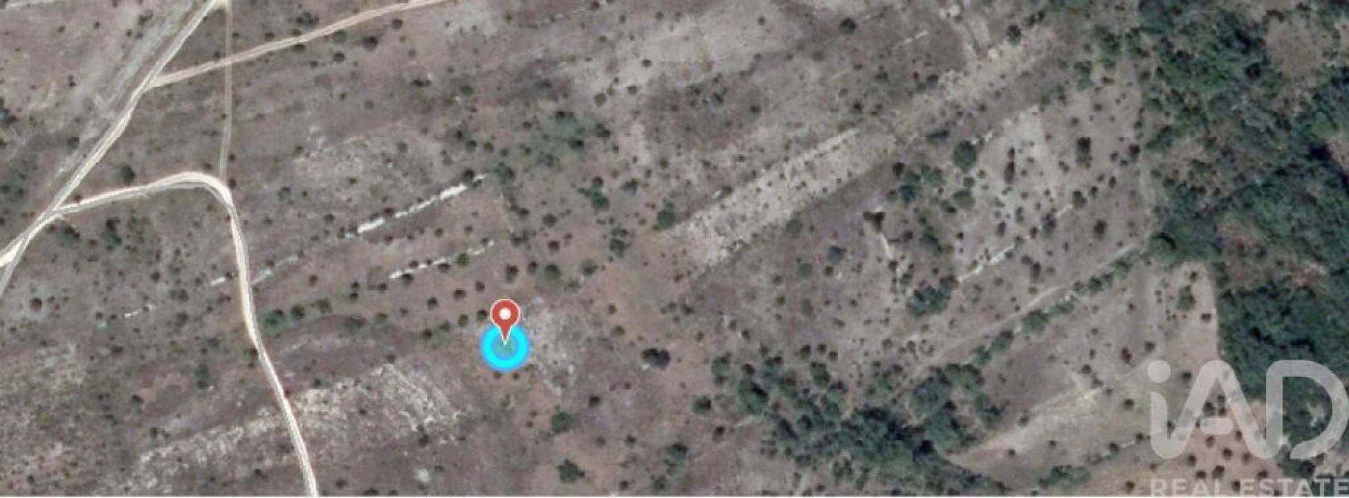 Terreno para Venda em Nossa Senhora do Pranto Foto 24