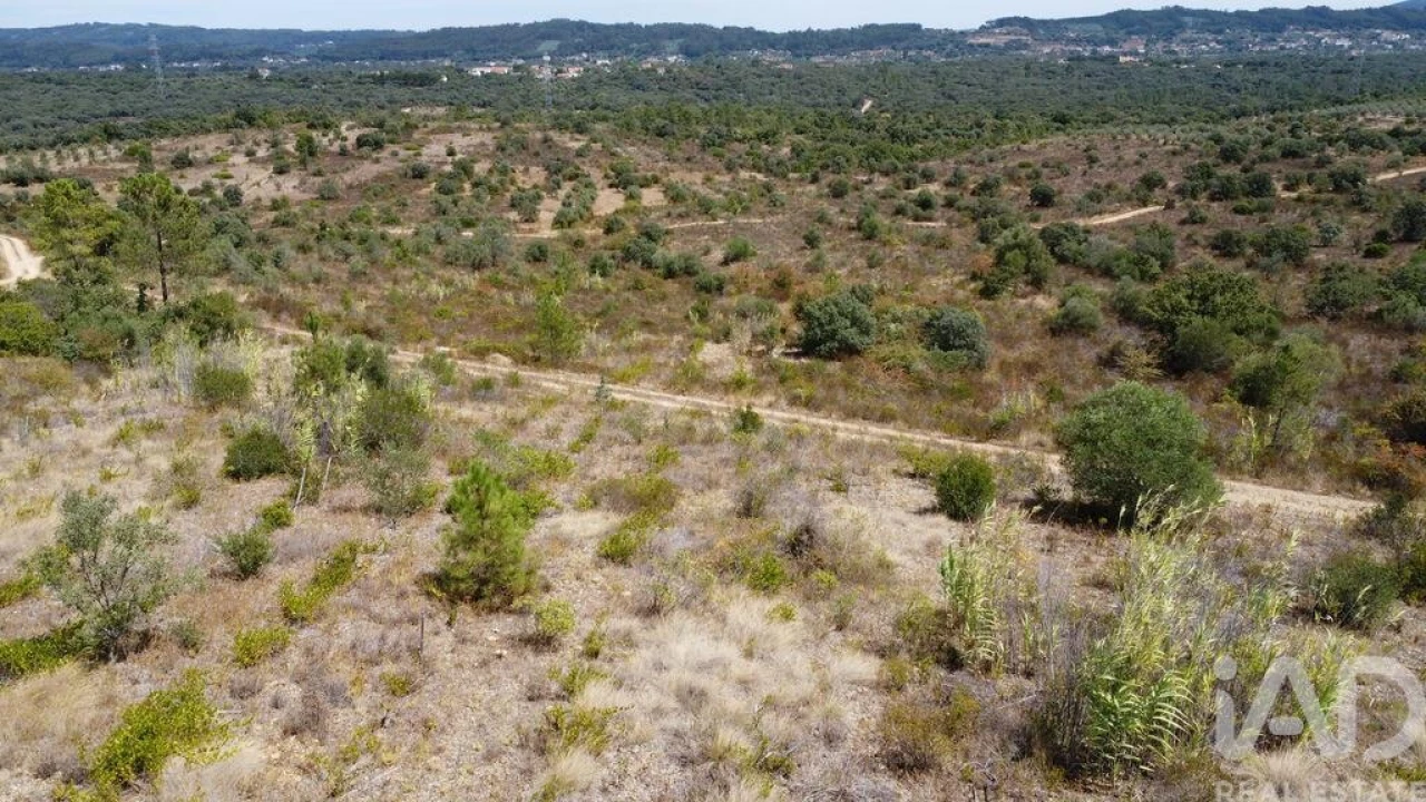Terreno para Venda em Nossa Senhora do Pranto Foto 21