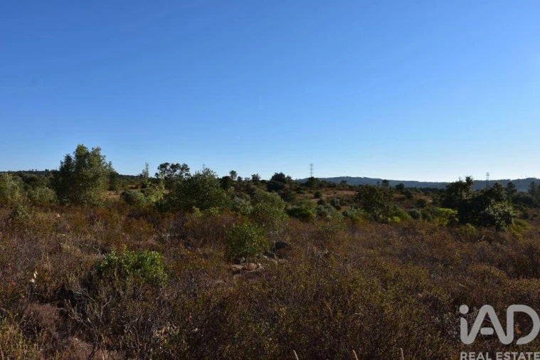 Terreno para Venda em Nossa Senhora do Pranto Foto 17