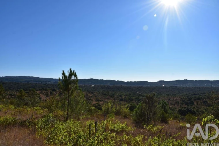 Terreno para Venda em Nossa Senhora do Pranto Foto 5