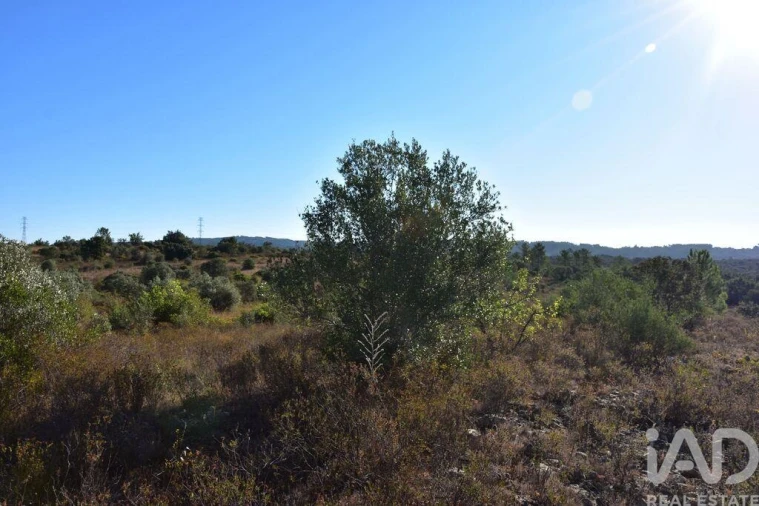 Terreno para Venda em Nossa Senhora do Pranto Foto 10
