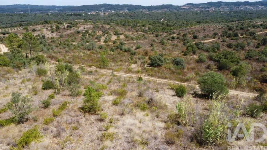 Terreno para Venda em Nossa Senhora do Pranto Foto 21