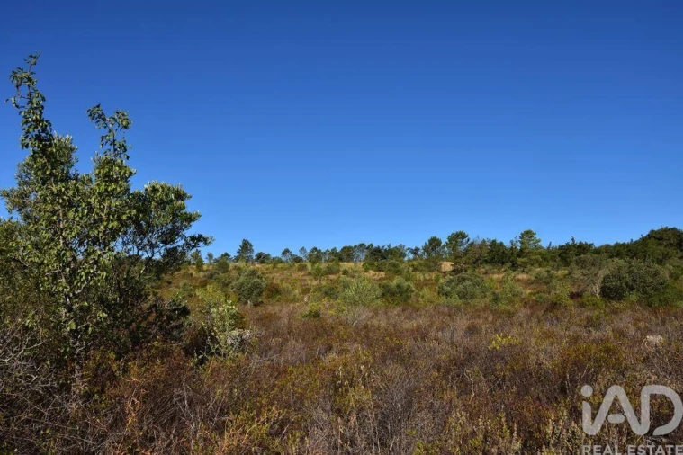 Terreno para Venda em Nossa Senhora do Pranto Foto 9