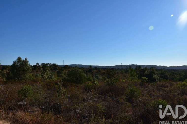 Terreno para Venda em Nossa Senhora do Pranto Foto 18