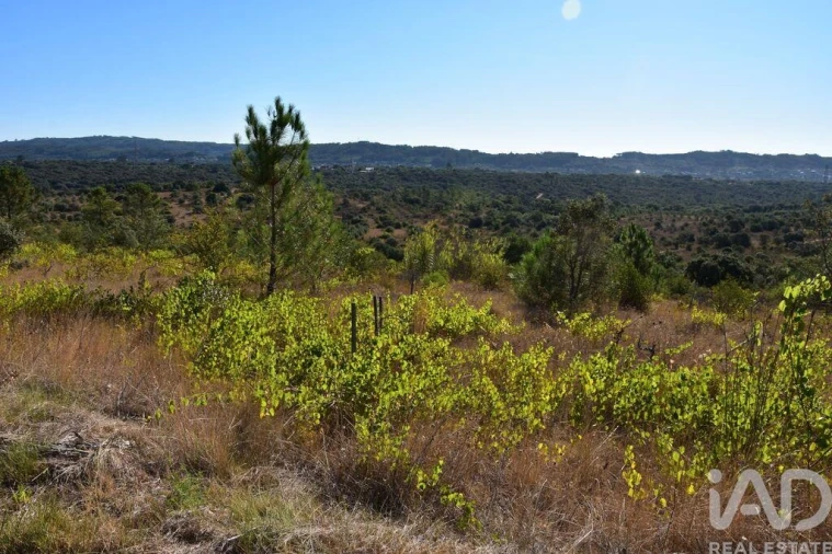 Terreno para Venda em Nossa Senhora do Pranto Foto 4