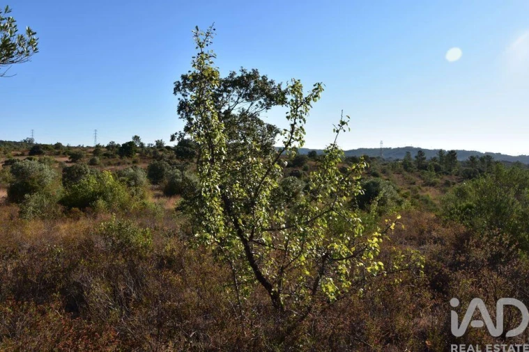 Terreno para Venda em Nossa Senhora do Pranto Foto 12