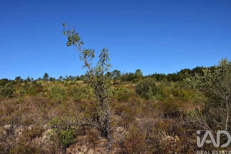 Terreno para Venda em Nossa Senhora do Pranto Foto 8