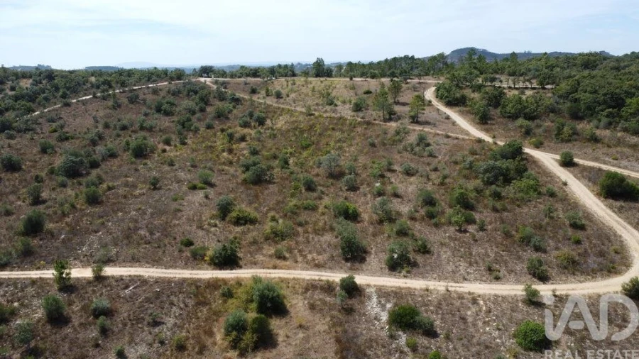 Terreno para Venda em Nossa Senhora do Pranto Foto 20