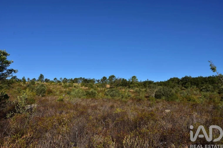 Terreno para Venda em Nossa Senhora do Pranto Foto 15