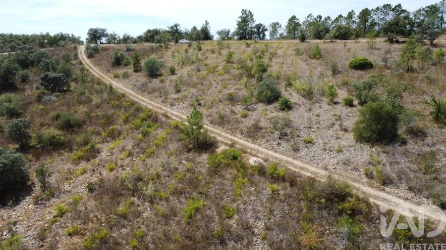 Terreno para Venda em Nossa Senhora do Pranto Foto 23