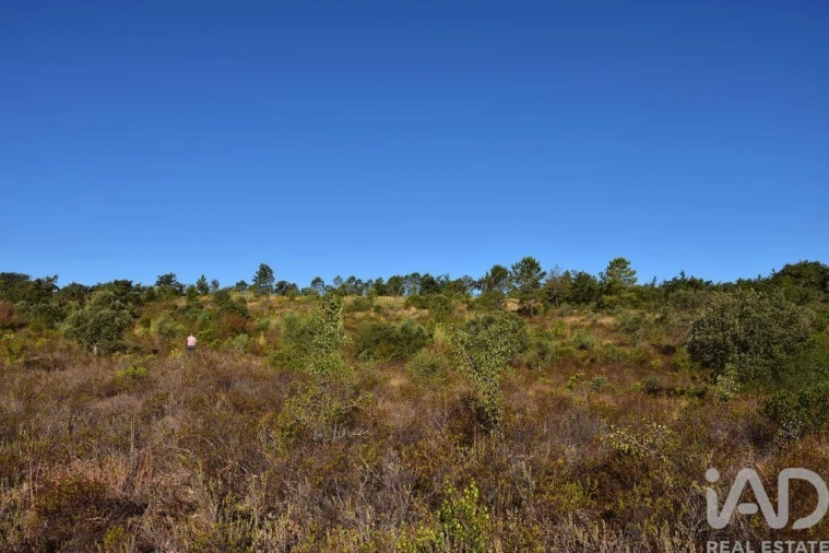 Terreno para Venda em Nossa Senhora do Pranto Foto 14