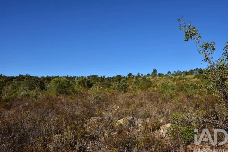 Terreno para Venda em Nossa Senhora do Pranto Foto 16