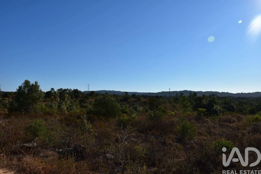 Terreno para Venda em Nossa Senhora do Pranto Foto 18