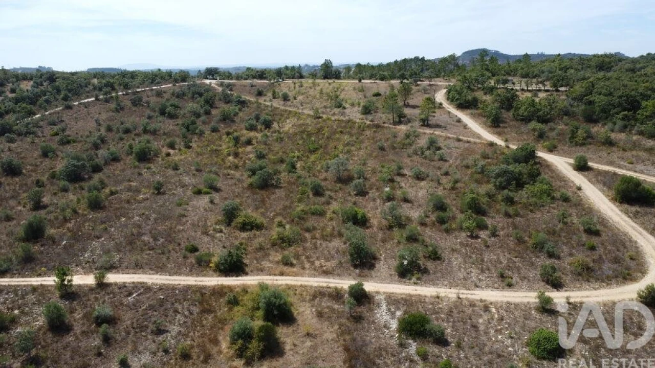 Terreno para Venda em Nossa Senhora do Pranto Foto 20