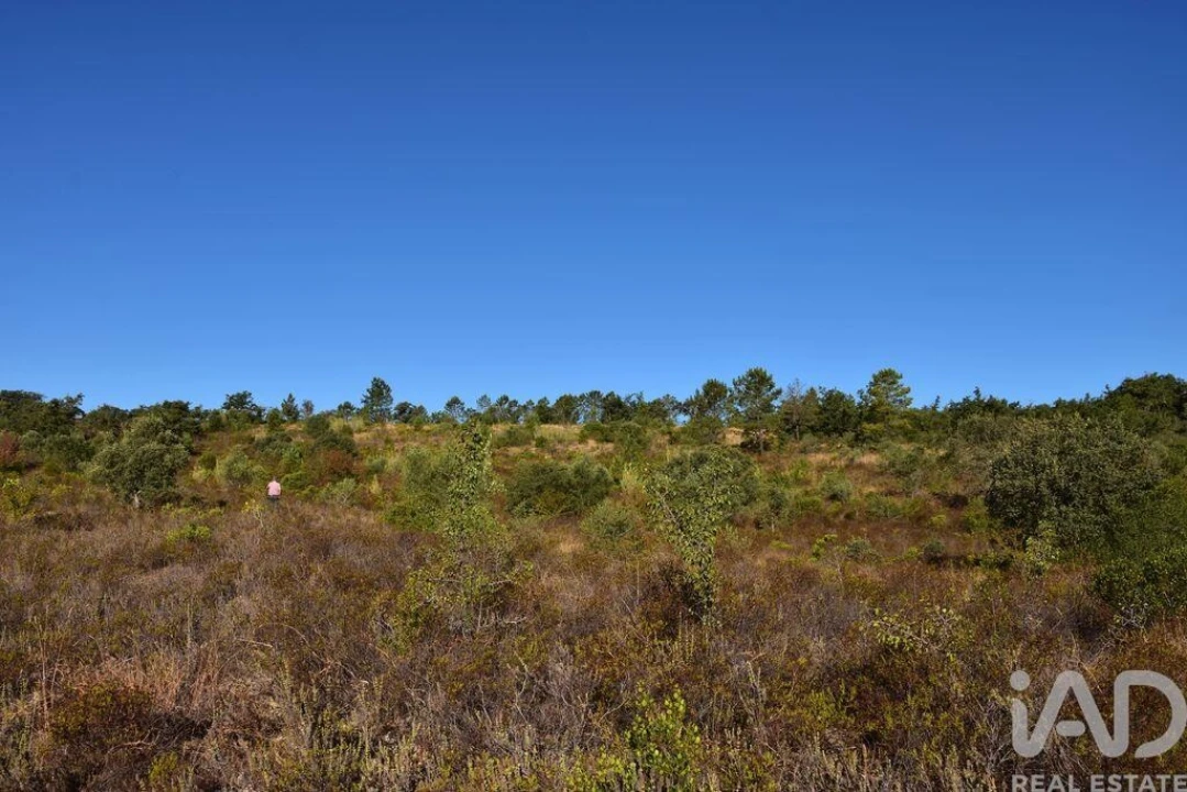 Terreno para Venda em Nossa Senhora do Pranto Foto 14