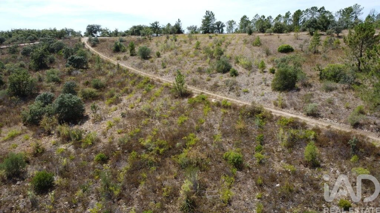 Terreno para Venda em Nossa Senhora do Pranto Foto 22