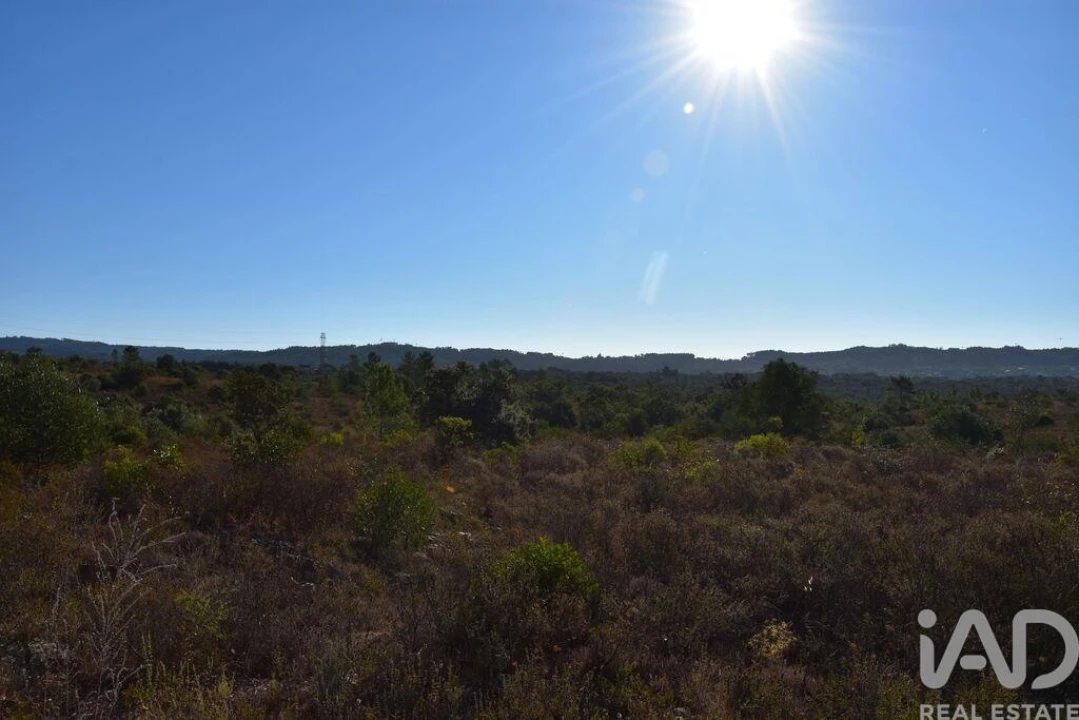 Terreno para Venda em Nossa Senhora do Pranto Foto 19