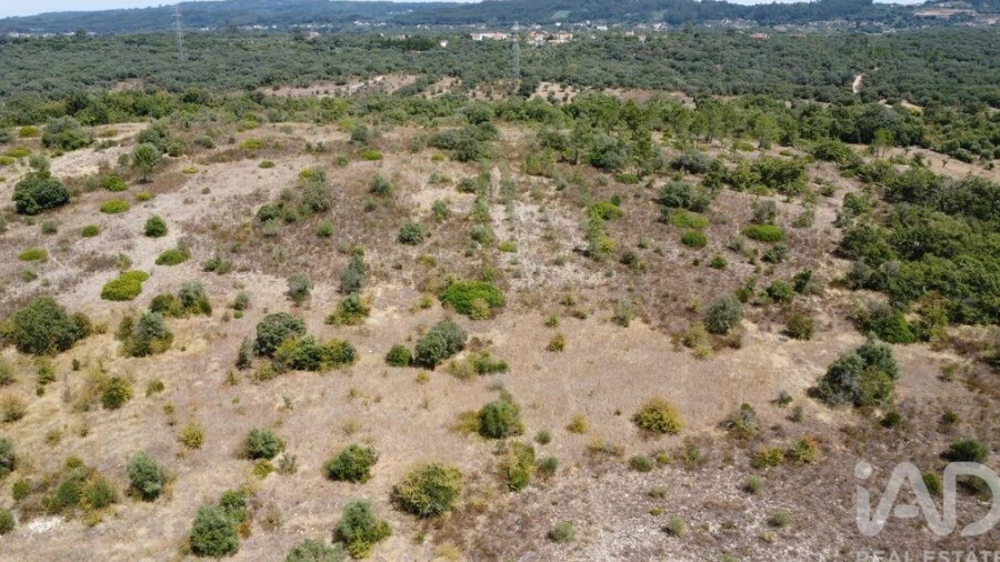 Terreno para Venda em Nossa Senhora do Pranto