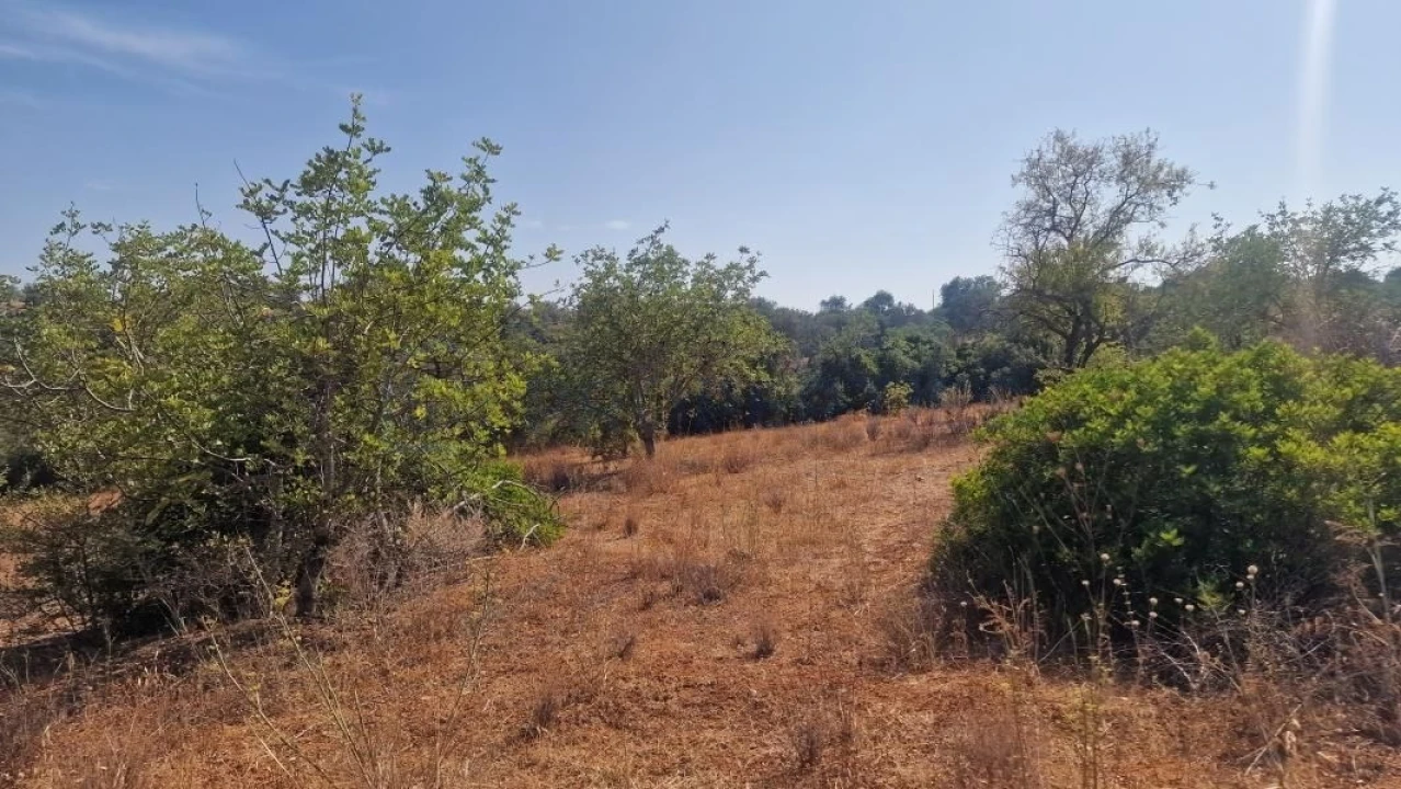 Terreno para Venda em Boliqueime Foto 20