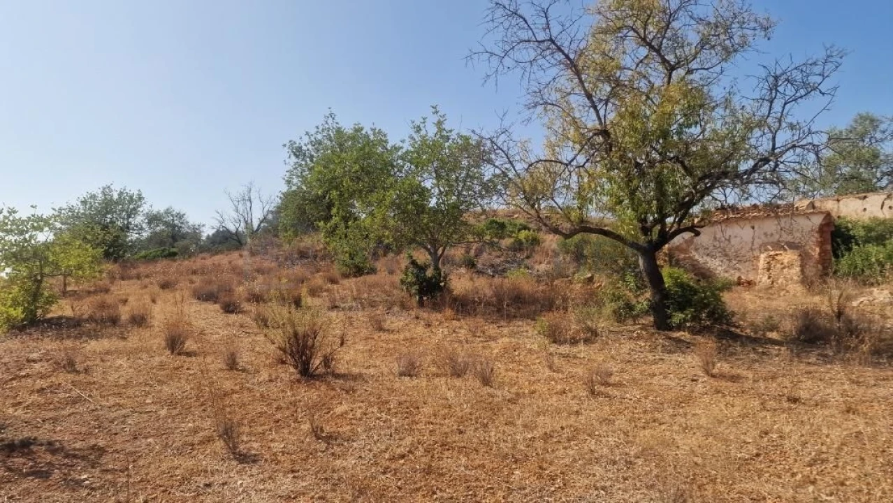Terreno para Venda em Boliqueime Foto 25