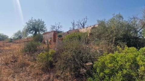Terreno para Venda em Boliqueime