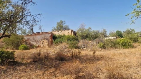 Terreno para Venda em Boliqueime