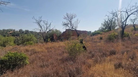 Terreno para Venda em Boliqueime