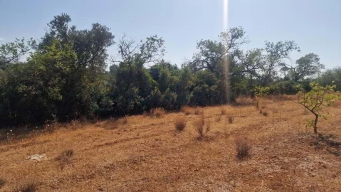 Terreno para Venda em Boliqueime