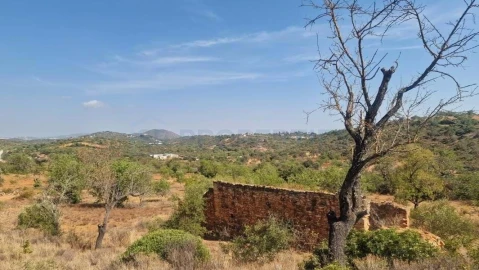 Terreno para Venda em Boliqueime