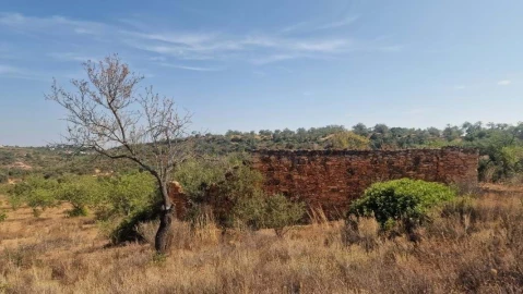 Terreno para Venda em Boliqueime