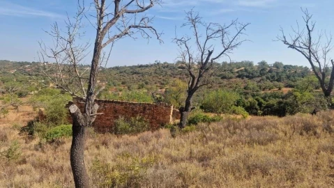 Terreno para Venda em Boliqueime