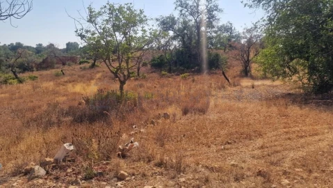 Terreno para Venda em Boliqueime