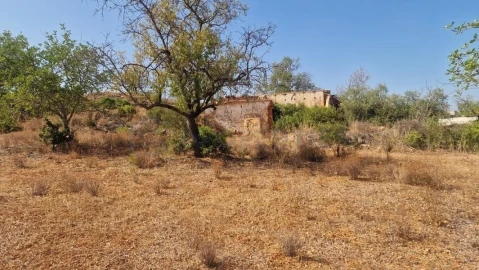 Terreno para Venda em Boliqueime