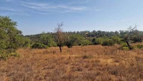 Terreno para Venda em Boliqueime