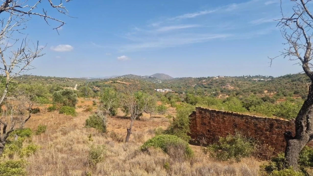 Terreno para Venda em Boliqueime Foto 17