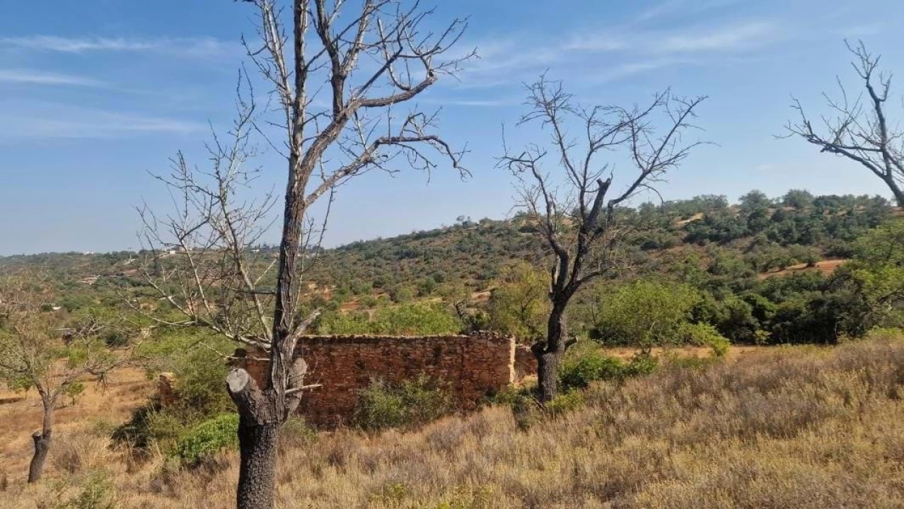 Terreno para Venda em Boliqueime Foto 1