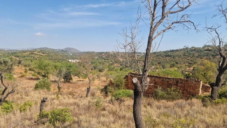 Terreno para Venda em Boliqueime Foto 11